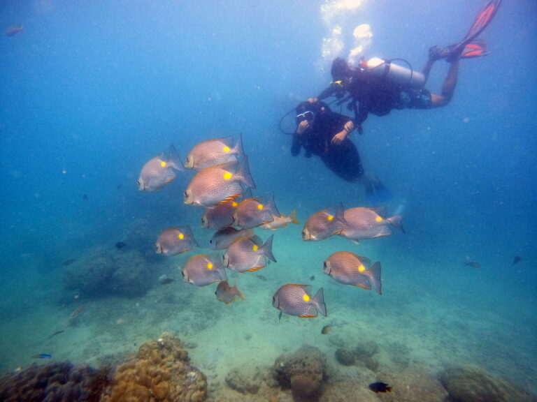 Shore Diving in Andaman