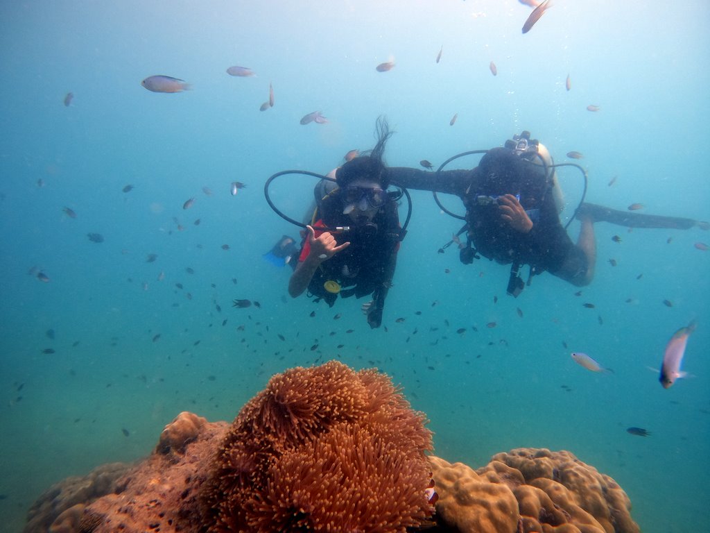 Shore diving in Havelock ( Swaraj Dweep )